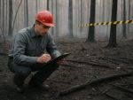 La investigación forense de los incendios forestales