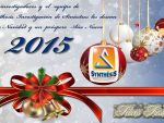 Synthesis les desea Feliz Navidad y Próspero Año Nuevo